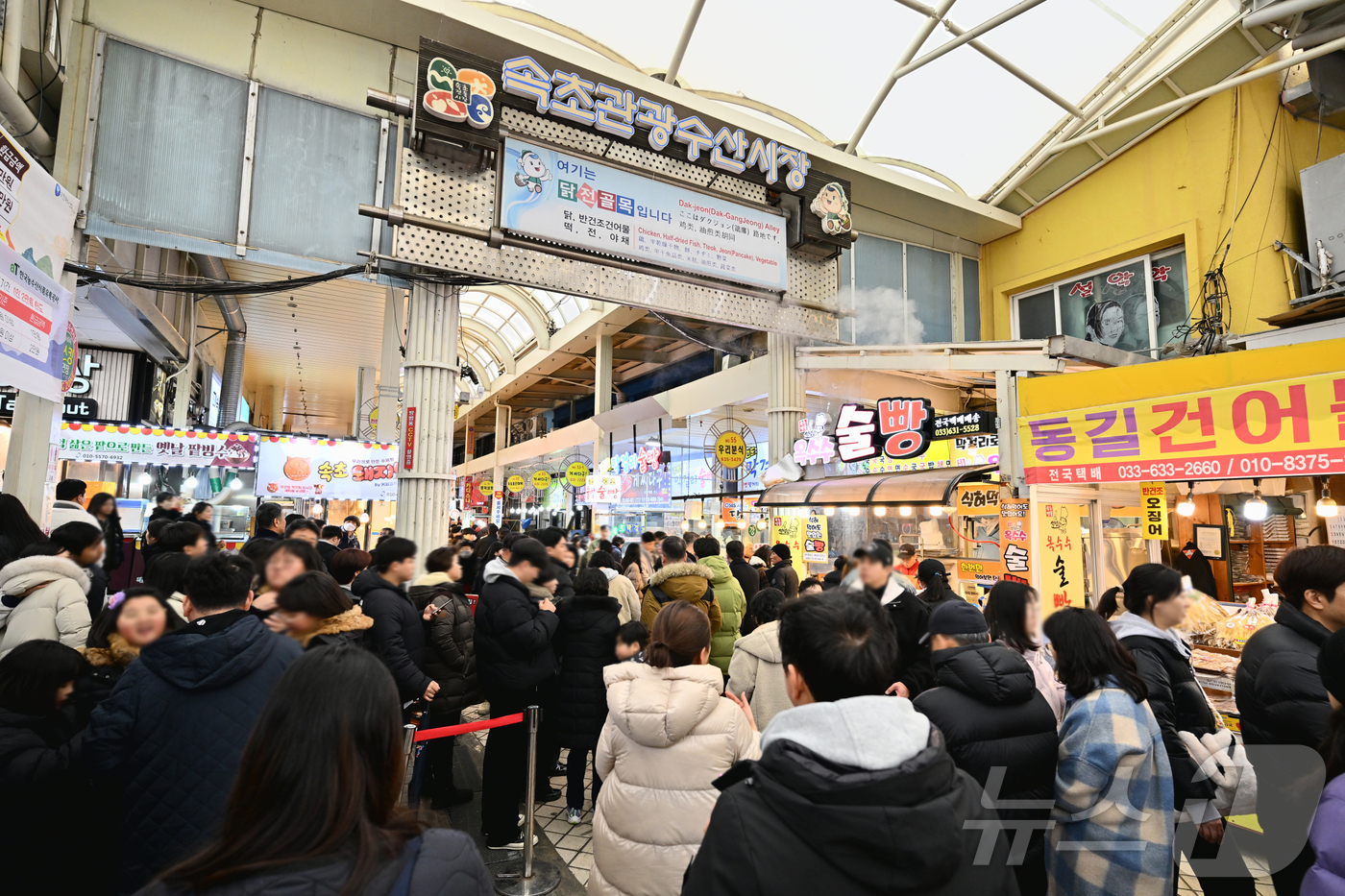 북적이는 속초관광수산시장