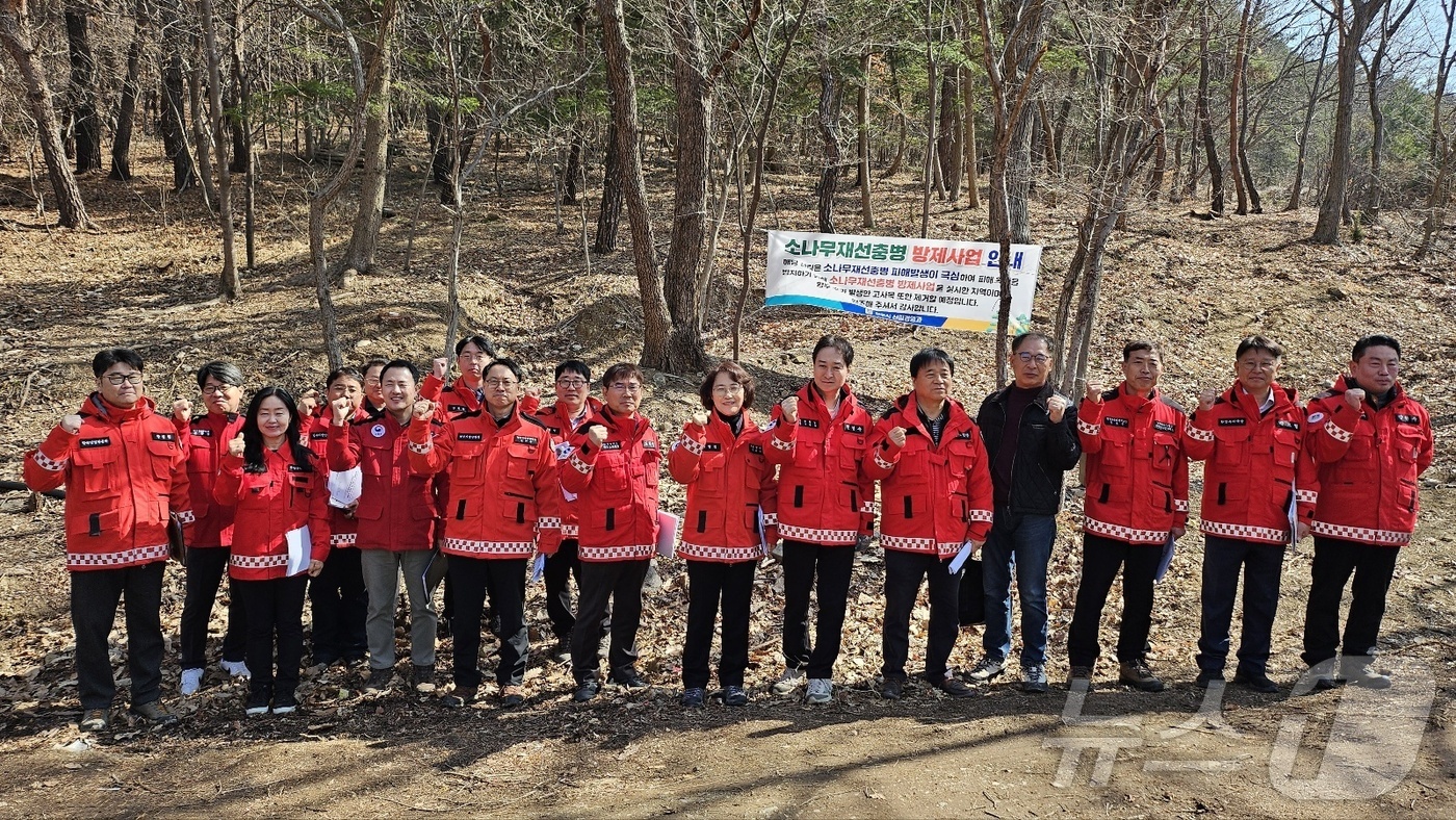 산림청, 소나무 재선충병 집단 피해지 수종 전환 사업 추진