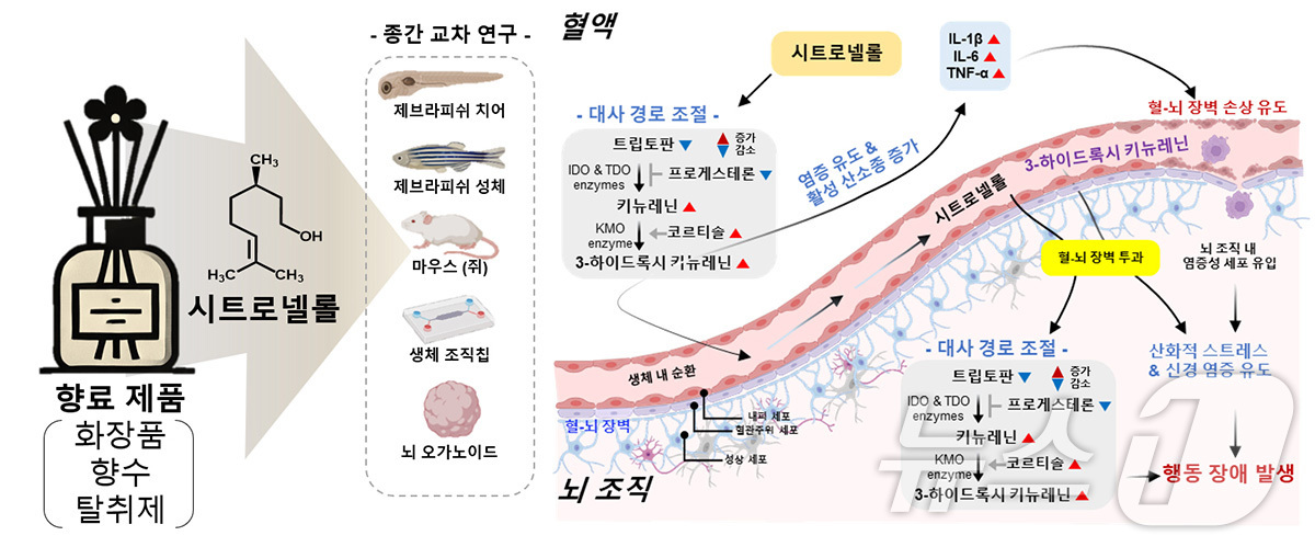 화장품·세제 천연 향료 시트로넬롤 뇌 신경독성 가능성 입증