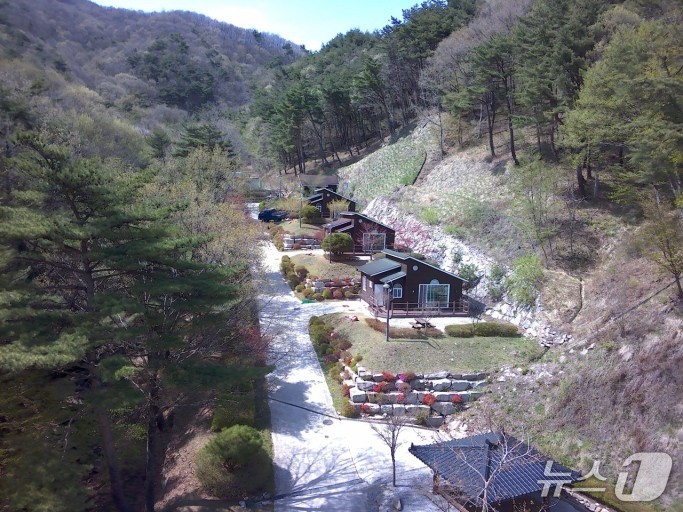 함양군, 대봉산·용추·산삼 자연휴양림 운영 재개