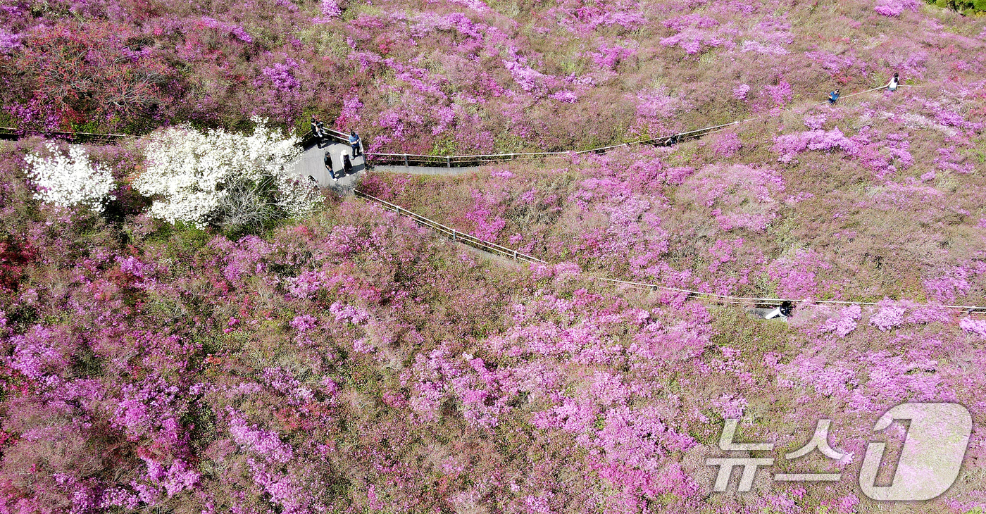 꽃동산 거닐며 봄 정취 만끽