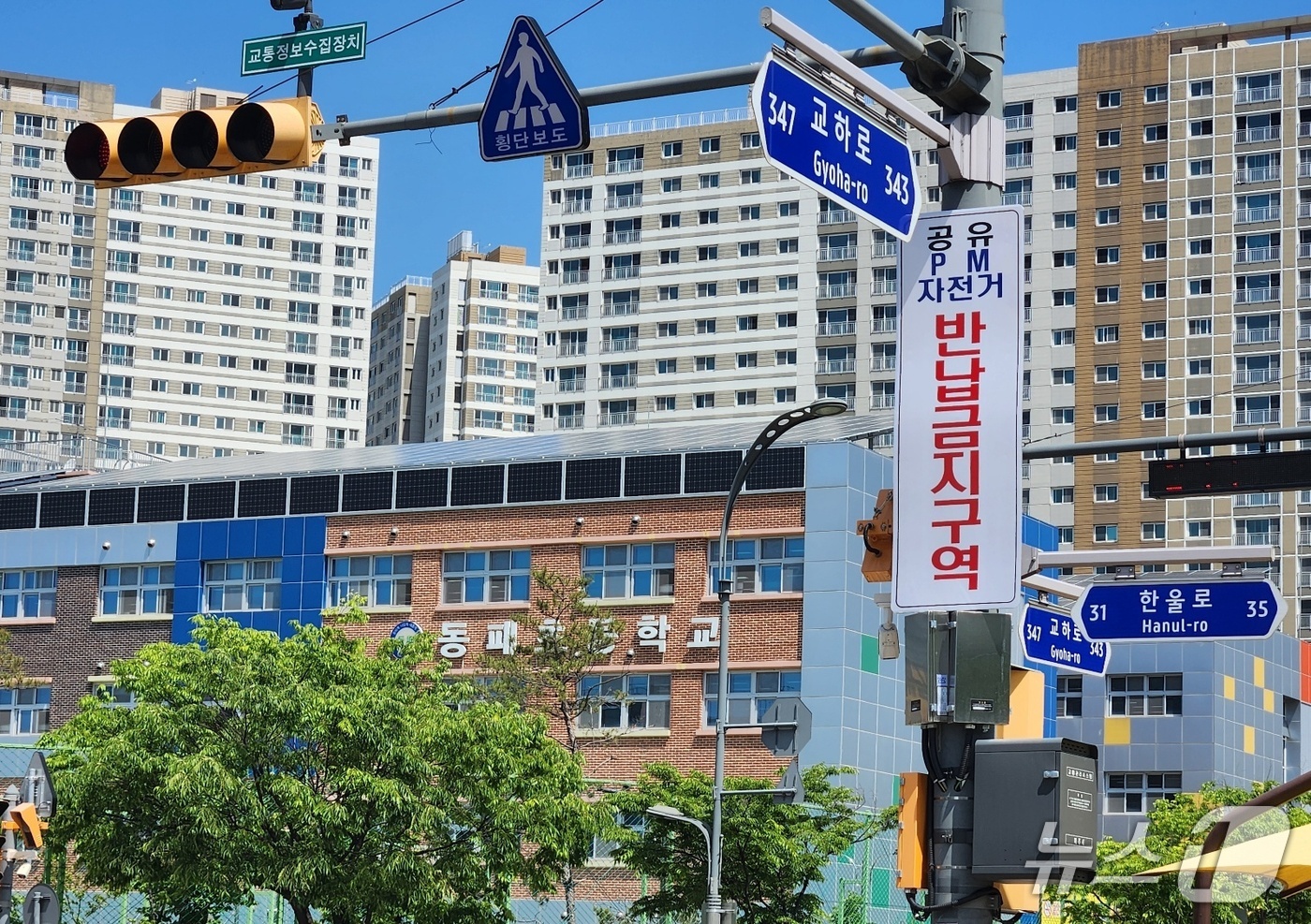 파주 동패초 주변 공유 PM·자전거 반납금지 구역 지정