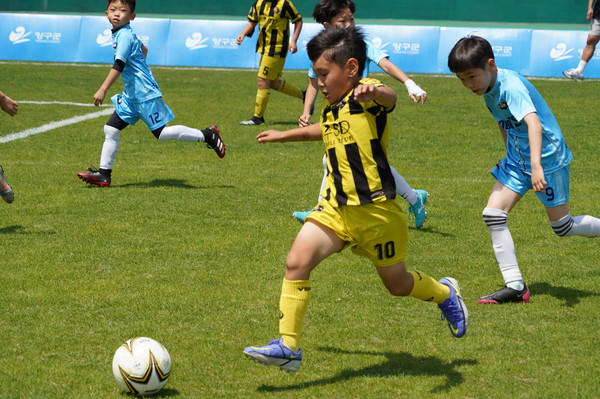 스포츠 메카 양구군 2022 행복 양구컵 전국 유소년 축구클럽 페스티벌 개막