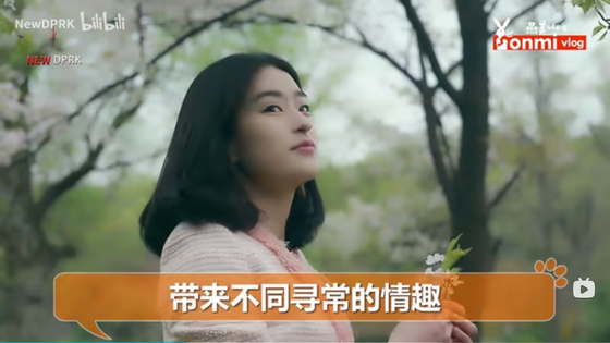 언니가 평양의 봄을 보여줄게...북한 유튜버의 중국어 홍보