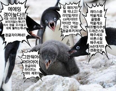 [실론즈탈출비법③] 정글 포지션 - 정글몹 정리 안 하고 백업만 가도 골드 간다 | 인스티즈