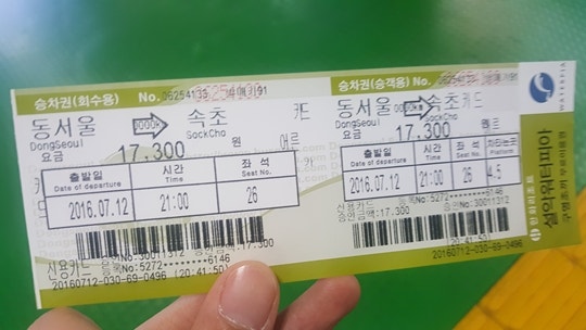 [취재] "지금 속초로 떠납니다"포켓몬 GO, 한국 성지 탄생하나? | 인스티즈