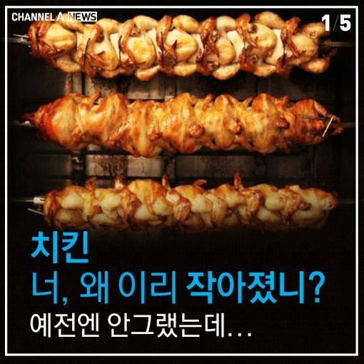 [카드뉴스] 1인 1닭 시대…치킨 크기가 작아진 이유