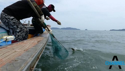 월 매출 1억원 버는 어부, 비결은?