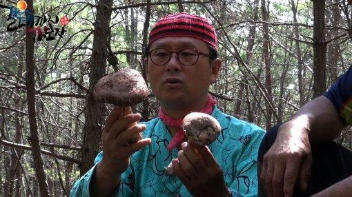 아들도 모르는 귀한 곳? 송이밭 특별 공개