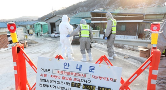 천안 농장서 고병원성 AI 의심 사례…긴급 살처분