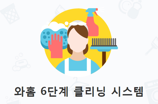 청소는 프로의 일이다