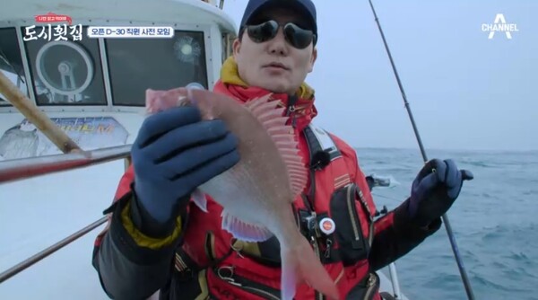 도시횟집, 방금 낚은 횟감 같은 신선함