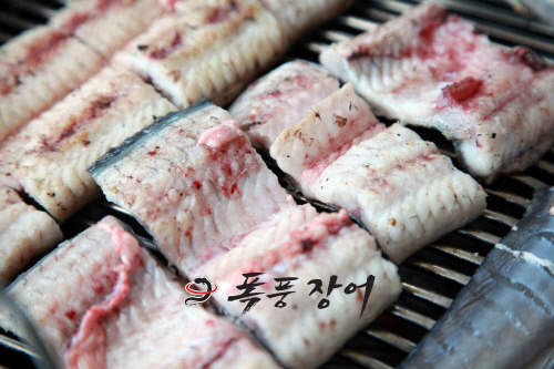 [스포츠서울 2015 상반기 히트상품]매운탕 시키면 장어 공짜 정겨운사람들 폭풍장어