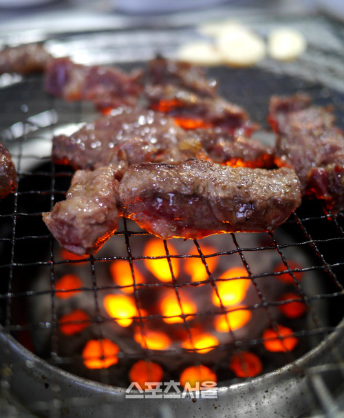 낮은 온도, 높은 만족의 휴가지 정선 태백 여행