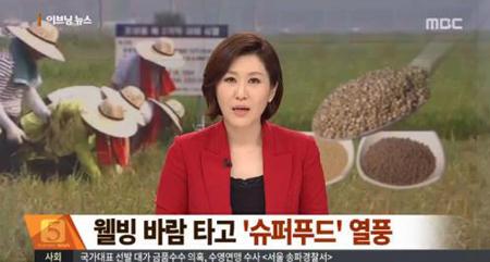 새해 건강 지킬 슈퍼푸드, 2016년 뇌 건강은 어떻게 지키나?