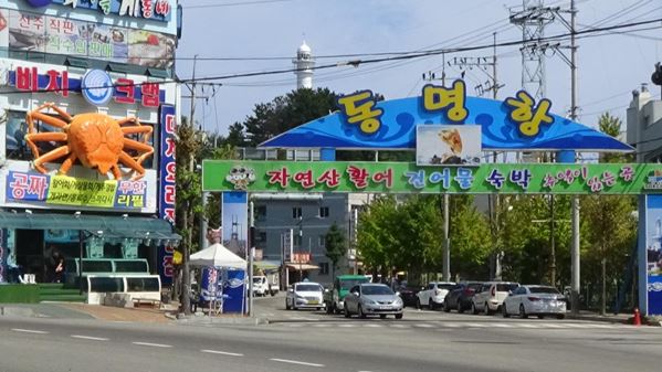 속초에서 즐기는 설악산의 봄꽃, 동해바다 그리고 대게