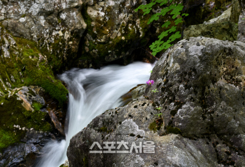 무지~시원한 산골 여행 청정 무주 여행