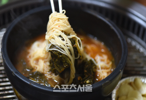 이보다 쿨하고 더 핫할 수는 없다, 태백고원 여름여행