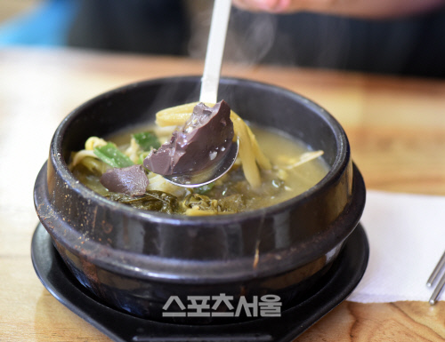 이보다 쿨하고 더 핫할 수는 없다, 태백고원 여름여행