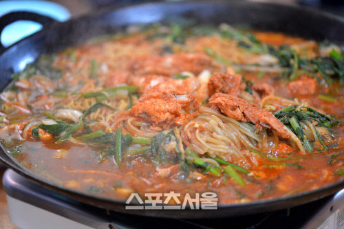 이보다 쿨하고 더 핫할 수는 없다, 태백고원 여름여행