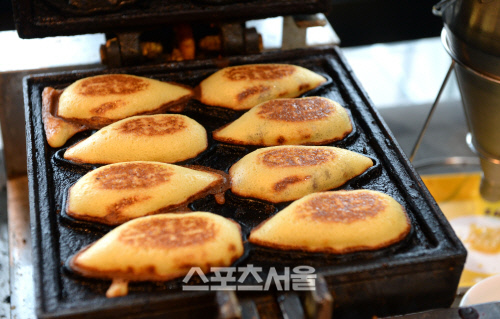 기막히다, 이땅의 역사 30만년을 두고 흐르는 연천 대하(大河)여행