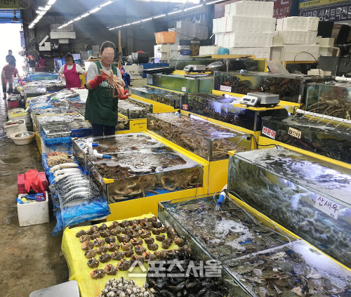 수원시, 농수산물도매시장 유통 수산물 방사능 검사적합