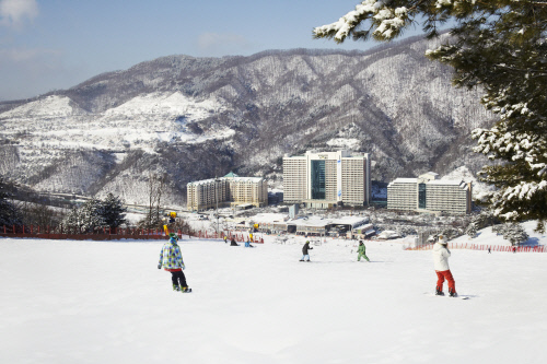 렛잇고~ 더욱 사랑스러워진 홍천의 겨울왕국 비발디파크