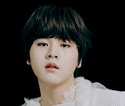 남도현, 소년미+귀공자 자태…베일 벗은 포켓돌스튜디오 루키 첫 멤버[SS이슈]