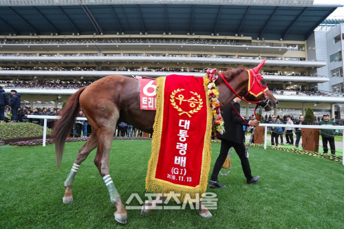 전설의 명마 트리플나인, 경주로 떠나 씨수말로 제2의 마생