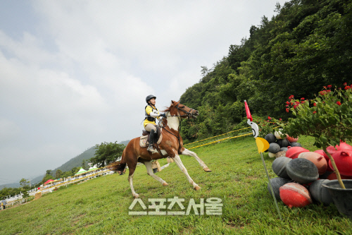 체육시간에 승마 배운다…2021년 학교체육 승마 시범학교 공모