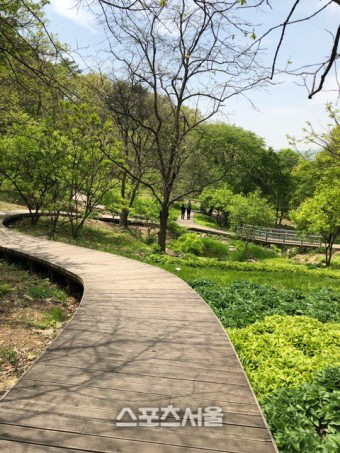 경기도, 용인자연휴양림 등 8곳 무장애 관광지 선정