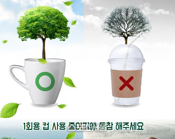 오늘부터 식당 카페에서 일회용품 쓰면 안돼요