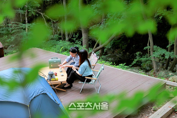 보성군 제암산자연휴양림 개장