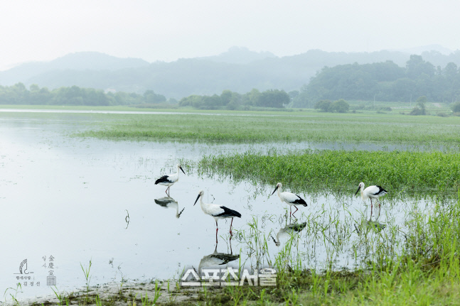 내포(內浦)…그 풍요의 땅으로 떠나는 예산 여행