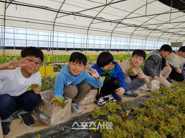 전남도, 농촌마을 체험하면 농수산물 할인혜택