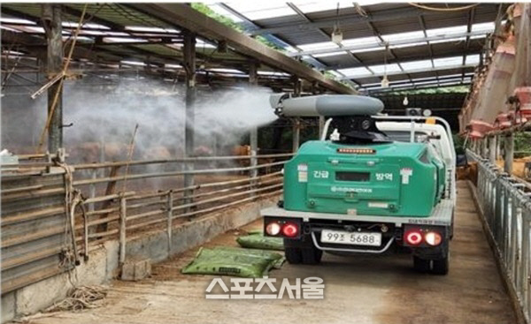 해남군, 북일 소 사육농장에서 기종저로 소들 폐사..농장 소독 철저히