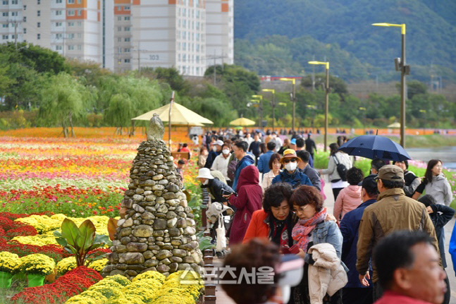 황룡강 가을꽃축제