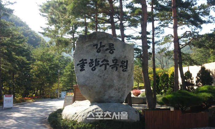 강릉솔향수목원, 자연과 함께하는 낭만 가득 야외 결혼식