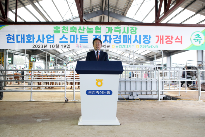 홍천축산농협, 스마트 전자경매 가축시장 개장!