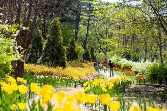숲 속의 작은 유럽 ‘제이드가든’, 4월과 5월은 제이드가든의 ‘꽃물결원’을 즐길 수 있는 적기!