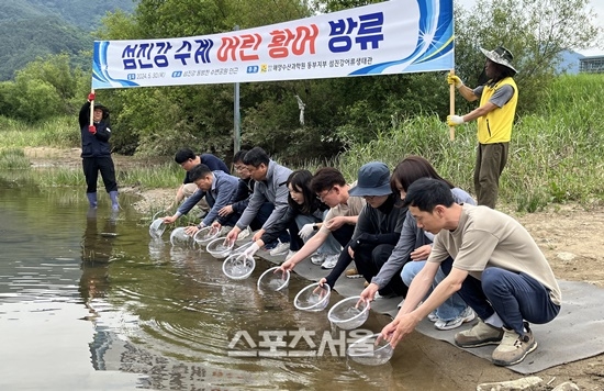전남해양수산과학원, 어린황어 30만 마리 방류