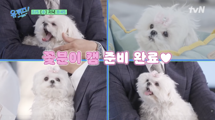 무지개다리 건넌 꽃분이…구성환 슬픔에 ‘나혼산’ 식구들도 애도