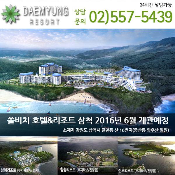 대명리조트고객 니즈에 따른 다양한 혜택의 맞춤형 상품