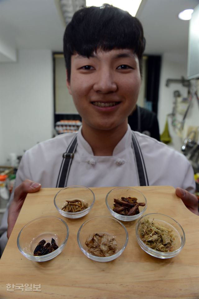 미래 식량, 곤충이 뜬다