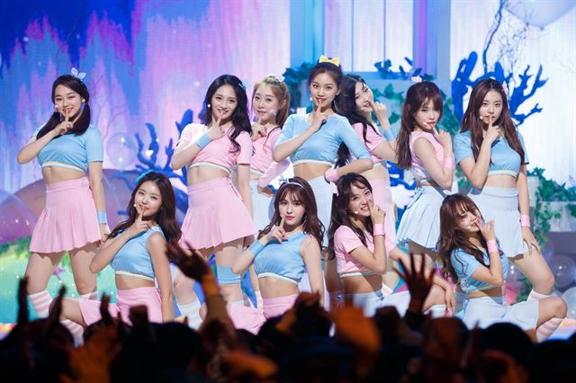 멤버별로 갈라진 팬심… 기이한 아이오아이 증후군