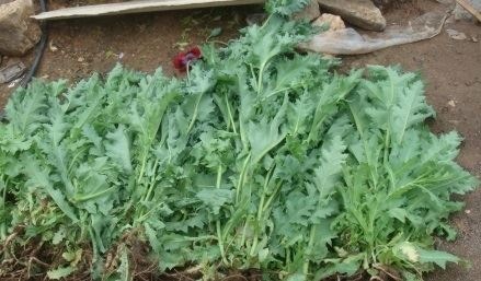 여교사 성폭행 발생한 신안군 클라스 | 인스티즈