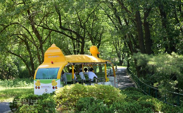 화원동산에 오르면 남아메리카가 보인다…낙동강 둥둥섬은 생명의 땅
