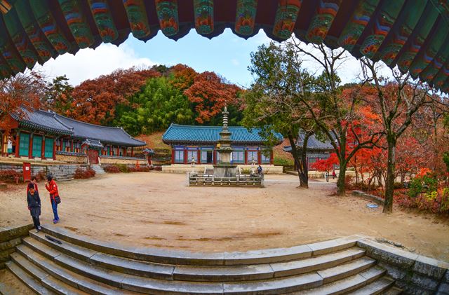 황악산은 절을 품고, ‘모티’길은 나를 안고…