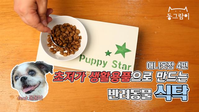 [애니옷장] 맛있게 먹이자~ 반려동물 식탁 만들기