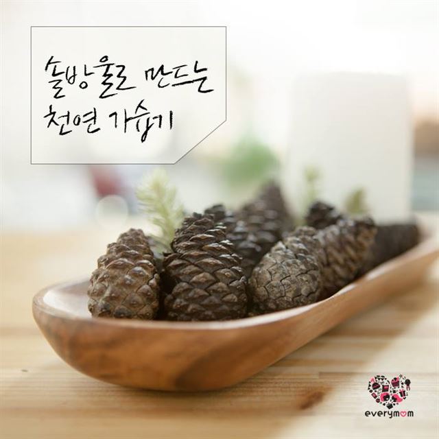 인테리어 효과는 덤… 천연 가습기 만들기